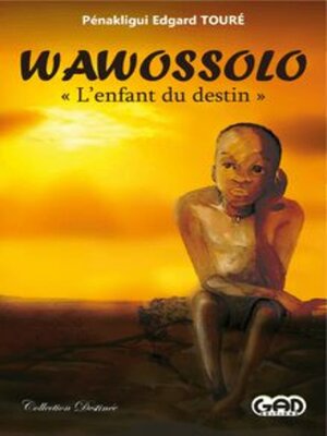 cover image of Wawossolo, l' Enfant du Destin
